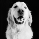 Finn Miley head shot