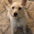 Parker . head shot