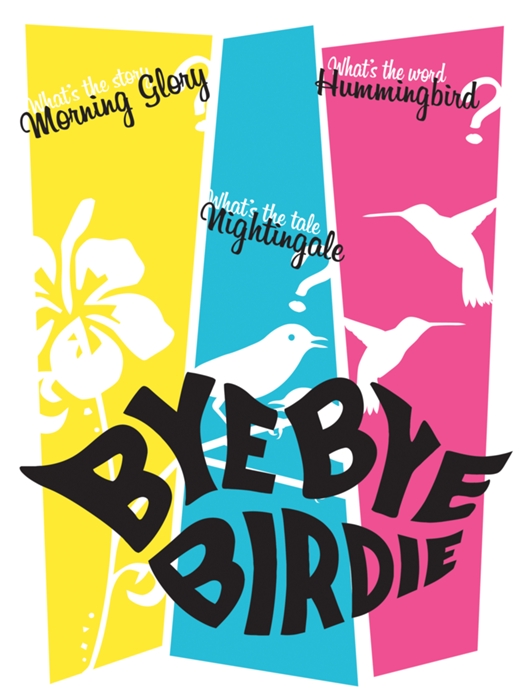 Bye Bye Birdie At Crossings Christian School Performances April 21 17 To April 22 17 Cover
