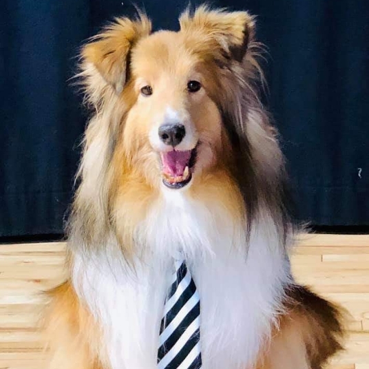 Whimsy Cheddarbean head shot