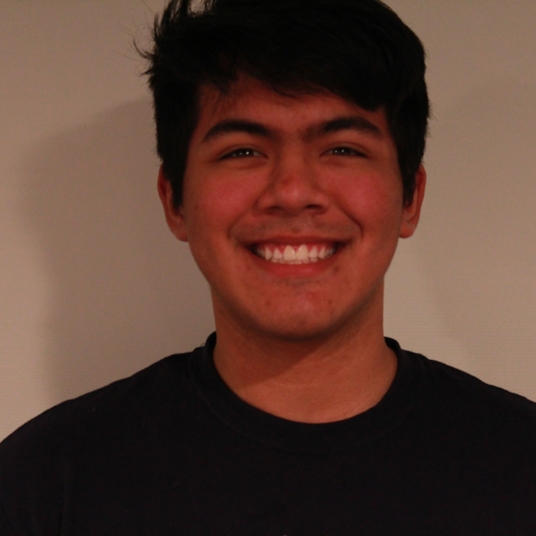 Ricardo Villafan head shot