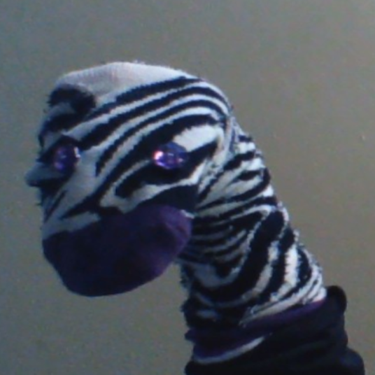 Zebra Drebra head shot