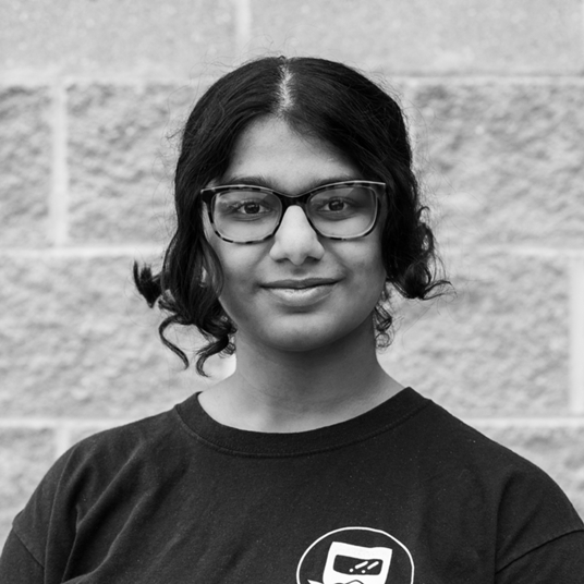 Niki Raju* head shot