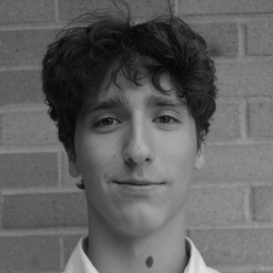 Will Smith head shot