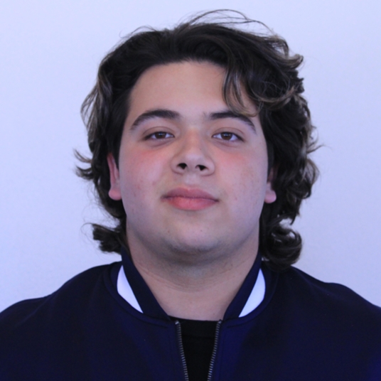 Vincenzo Anza head shot
