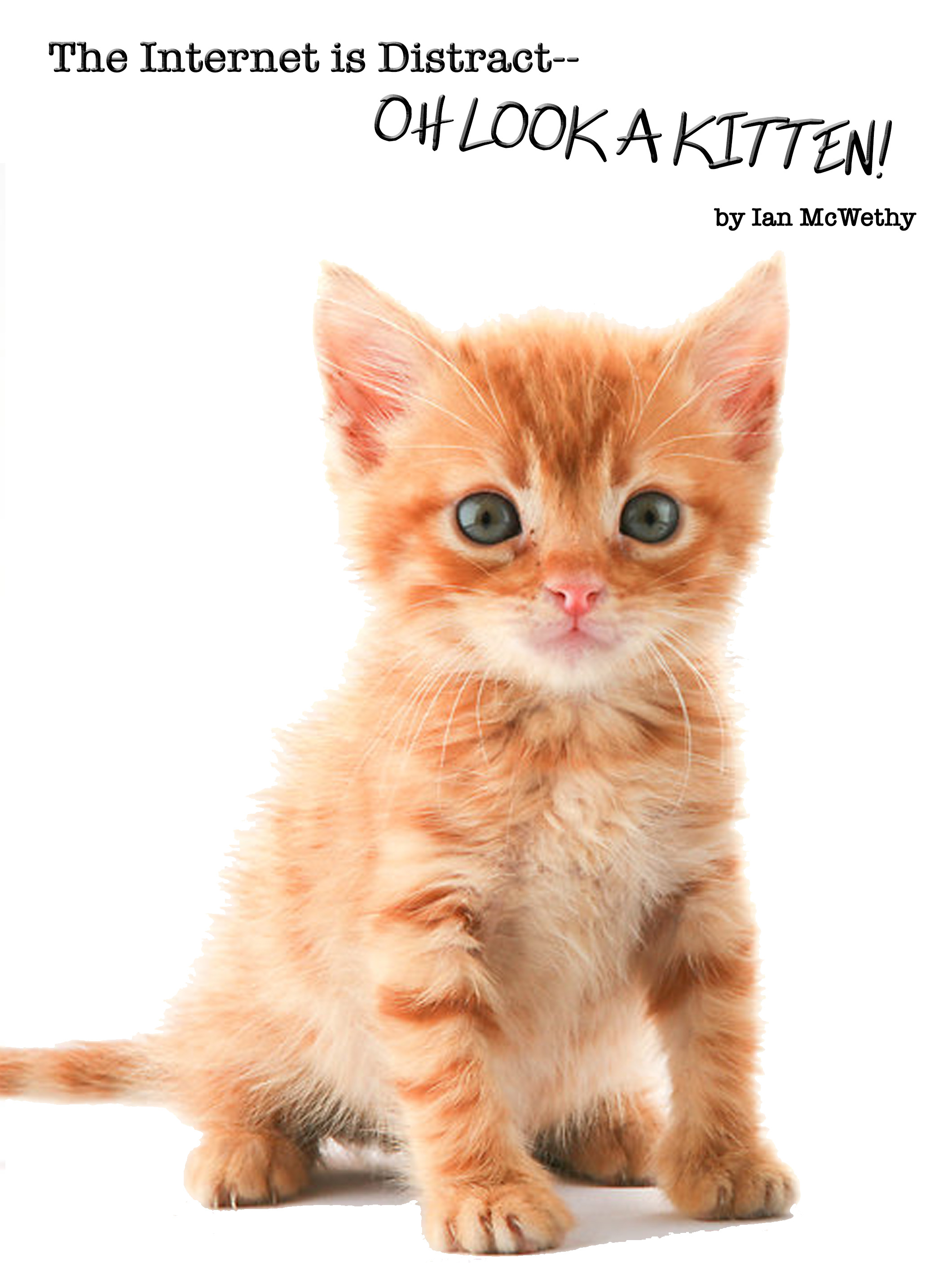 The Internet is Distract--OH LOOK A KITTEN! at Newton South High