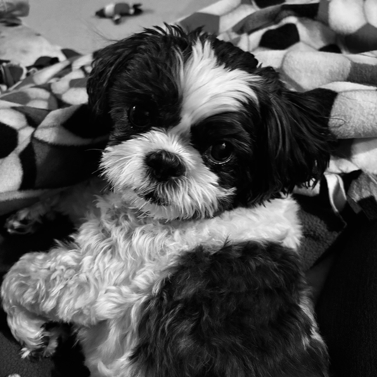 Ruby Riewerts head shot
