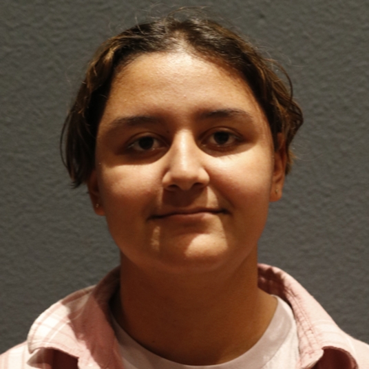 Theor Kamfar head shot