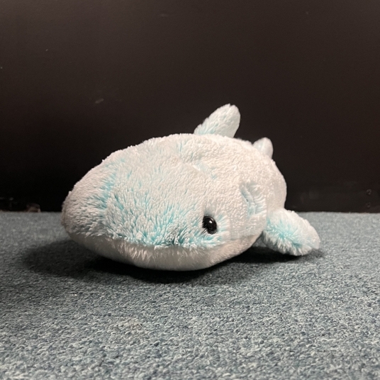 Bijou Joaseus head shot