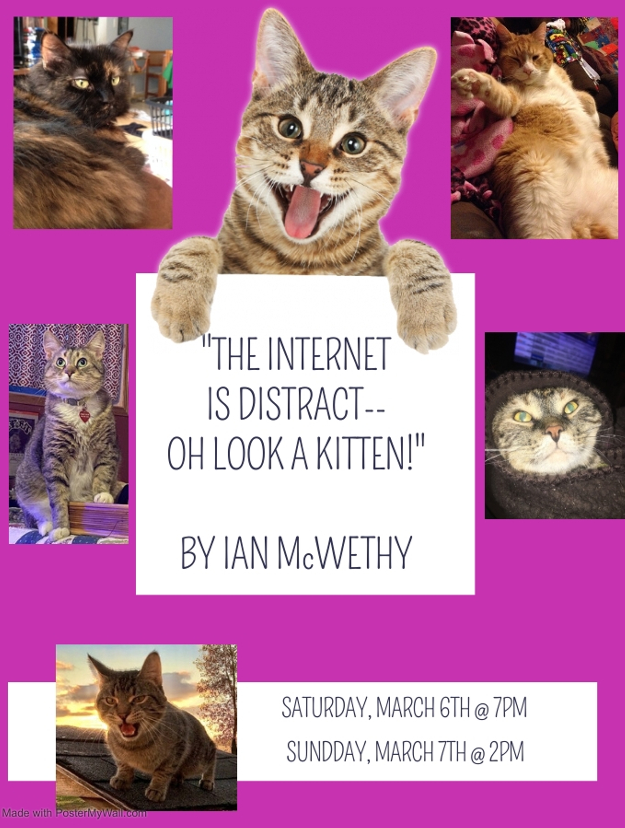 The Internet is Distract- OH LOOK A KITTEN! at Postville Community