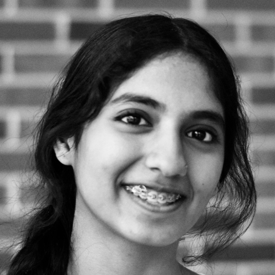 Rama Wagh head shot