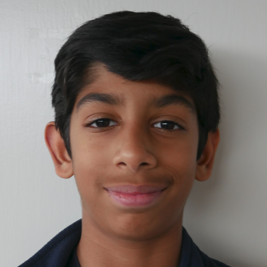 Sanjay Anand head shot