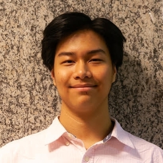 Anh Minh Le head shot