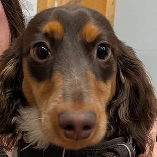 Fritz Jorgenson head shot