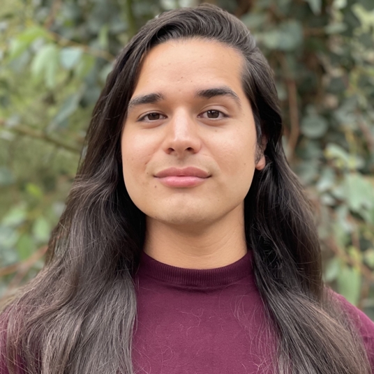 Enrique Arana head shot