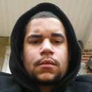 Mr. Stephen Gibson head shot