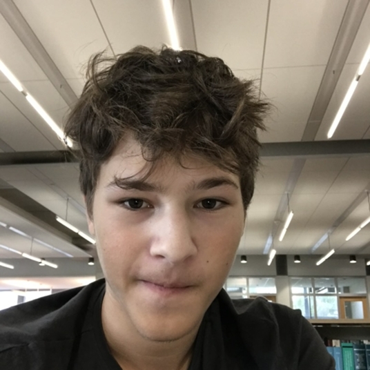 Oliver Hollmann head shot