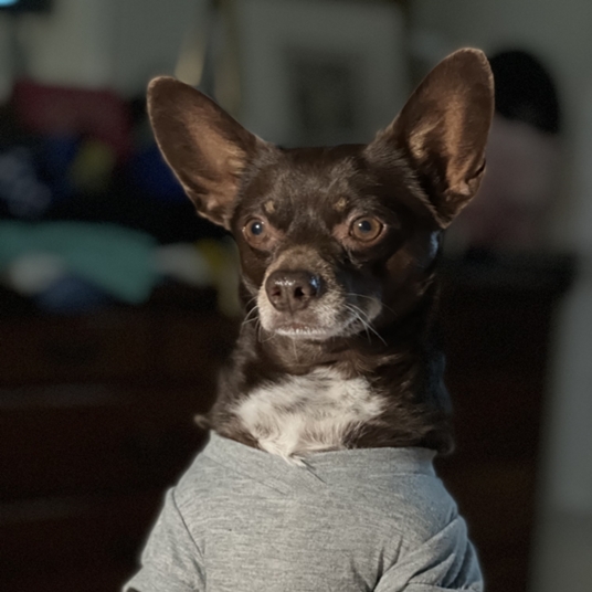 Sterling Bennett head shot